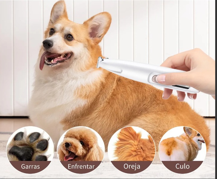 Miniatura 2 de MINI MAQUINA CON LINTERNA PATAS MASCOTA